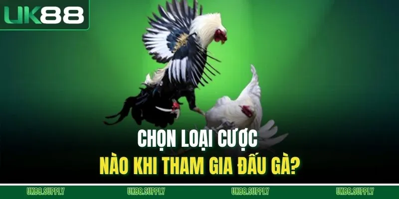 Đá Gà Trực Tuyến - Khám phá Sảnh Cá Cược Uy Tín Nhất Năm Nay 4 Chọn loại cược nào khi tham gia đấu gà?