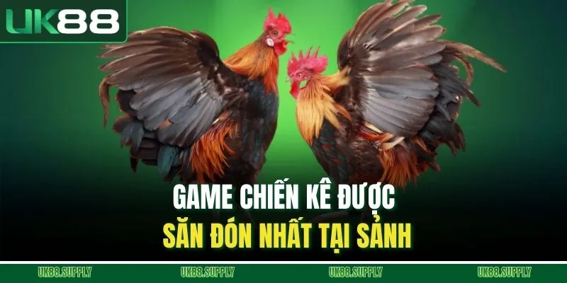 Đá Gà Trực Tuyến - Khám phá Sảnh Cá Cược Uy Tín Nhất Năm Nay 3 Game chiến kê được săn đón nhất tại sảnh