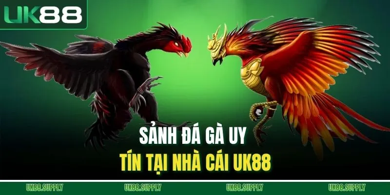 Đá Gà Trực Tuyến - Khám phá Sảnh Cá Cược Uy Tín Nhất Năm Nay 1 Sảnh đá gà uy tín tại nhà cái UK88